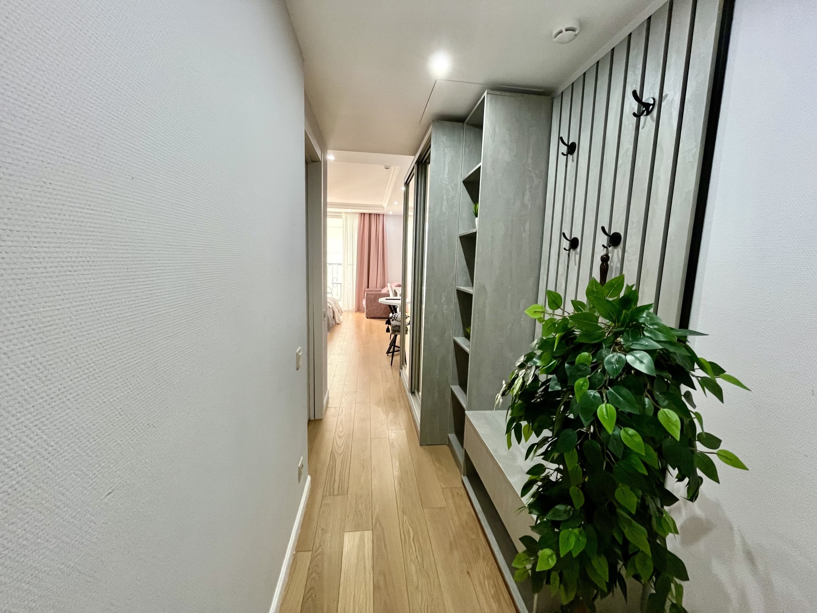 Студия на первой линии у моря, Резиденция Граф Толстой