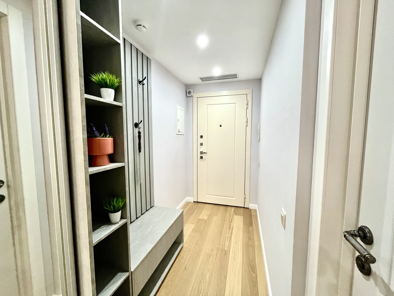 Студия на первой линии у моря, Резиденция Граф Толстой