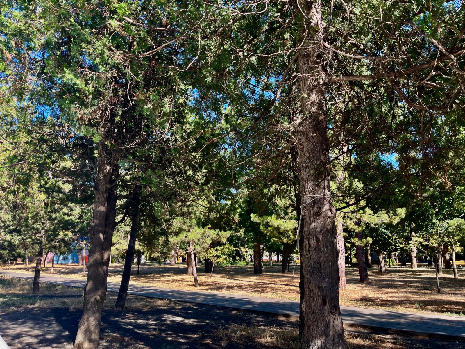 Стильная трёхкомнатная квартира