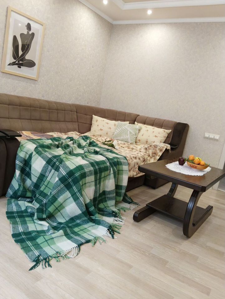 Уютная евродвушка на Владимирской 69